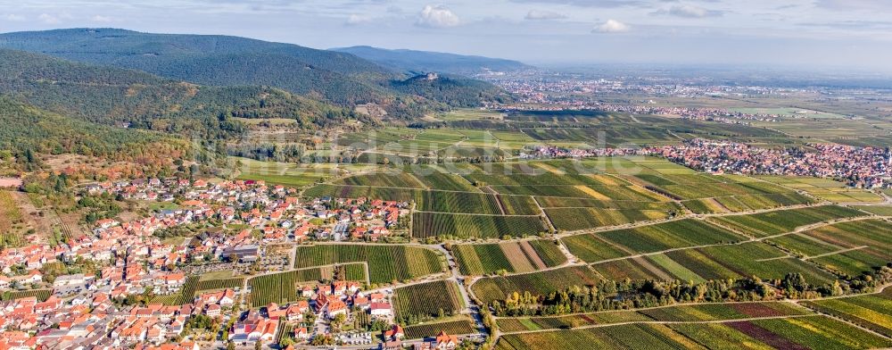 Luftaufnahme Sankt Martin - Blick über die Rheinebene am Rande der Haardt des Pfälzerwalds zwischen Weinbergen in Sankt Martin im Bundesland Rheinland-Pfalz, Deutschland