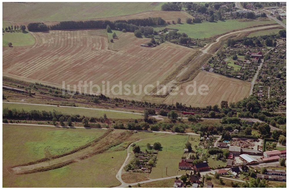 Wittenberg von oben - Blick über Wittenberg