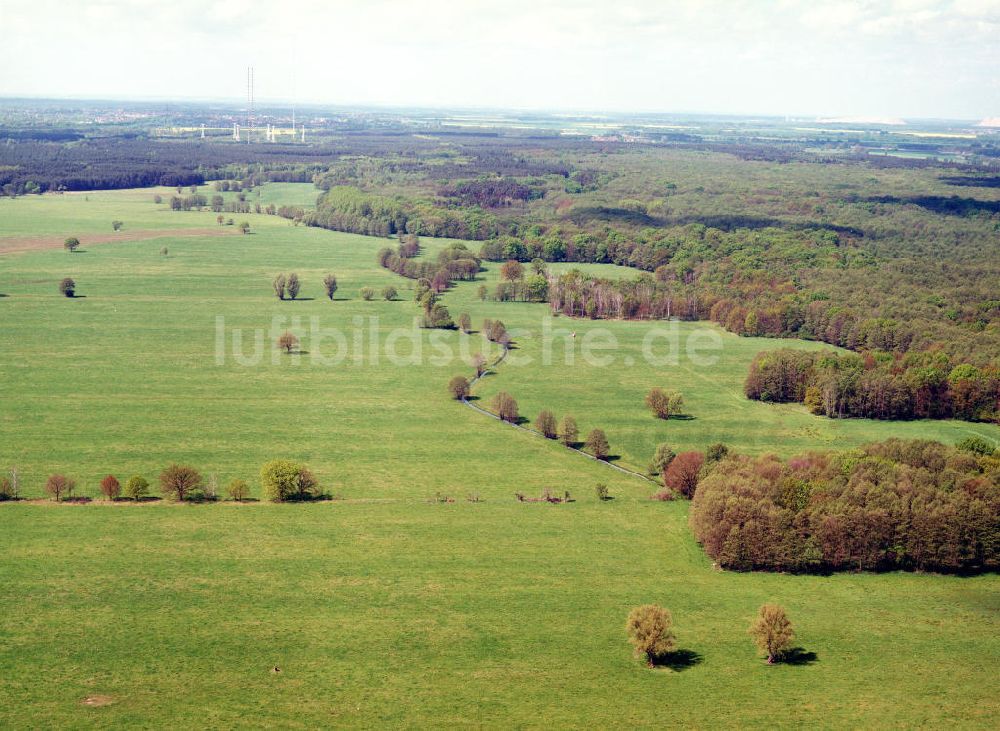 Burg / Sachsen-Anhalt von oben - Blick auf das Bürgerholz östlich von Burg am Elbe-Havel-Kanal - Ausgleichs- und Ersatzmaßnahmen am Wasserstraßenkreuz Magdeburg / Elbe-Havel-Kanal