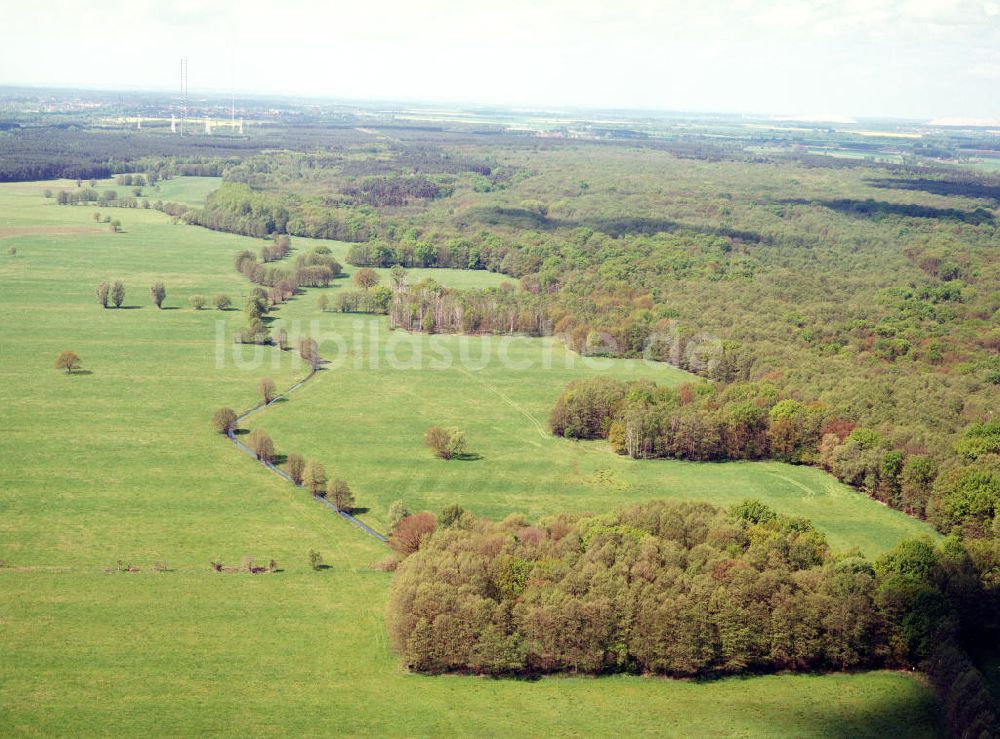 Burg / Sachsen-Anhalt aus der Vogelperspektive: Blick auf das Bürgerholz östlich von Burg am Elbe-Havel-Kanal - Ausgleichs- und Ersatzmaßnahmen am Wasserstraßenkreuz Magdeburg / Elbe-Havel-Kanal