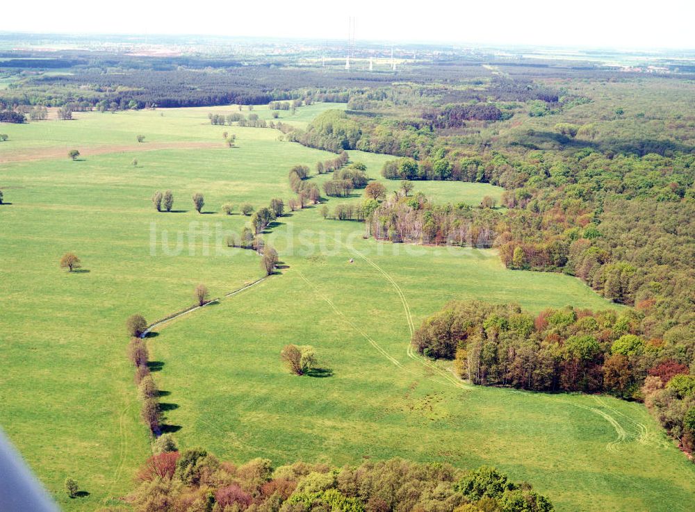 Luftbild Burg / Sachsen-Anhalt - Blick auf das Bürgerholz östlich von Burg am Elbe-Havel-Kanal - Ausgleichs- und Ersatzmaßnahmen am Wasserstraßenkreuz Magdeburg / Elbe-Havel-Kanal