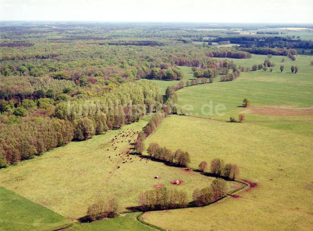 Burg / Sachsen-Anhalt aus der Vogelperspektive: Blick auf das Bürgerholz östlich von Burg am Elbe-Havel-Kanal - Ausgleichs- und Ersatzmaßnahmen am Wasserstraßenkreuz Magdeburg / Elbe-Havel-Kanal