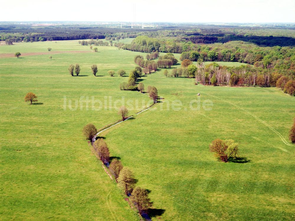 Luftbild Burg / Sachsen-Anhalt - Blick auf das Bürgerholz östlich von Burg am Elbe-Havel-Kanal - Ausgleichs- und Ersatzmaßnahmen am Wasserstraßenkreuz Magdeburg / Elbe-Havel-Kanal