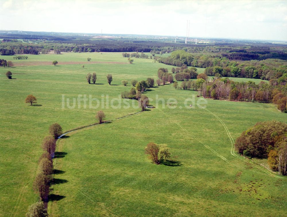 Luftaufnahme Burg / Sachsen-Anhalt - Blick auf das Bürgerholz östlich von Burg am Elbe-Havel-Kanal - Ausgleichs- und Ersatzmaßnahmen am Wasserstraßenkreuz Magdeburg / Elbe-Havel-Kanal