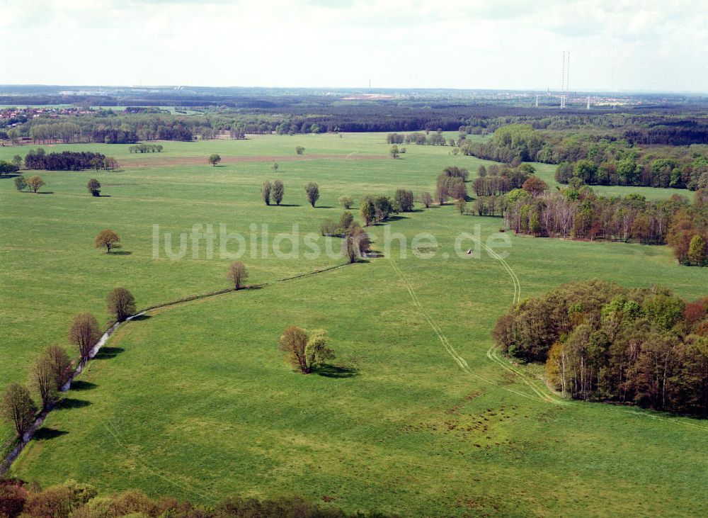 Burg / Sachsen-Anhalt von oben - Blick auf das Bürgerholz östlich von Burg am Elbe-Havel-Kanal - Ausgleichs- und Ersatzmaßnahmen am Wasserstraßenkreuz Magdeburg / Elbe-Havel-Kanal