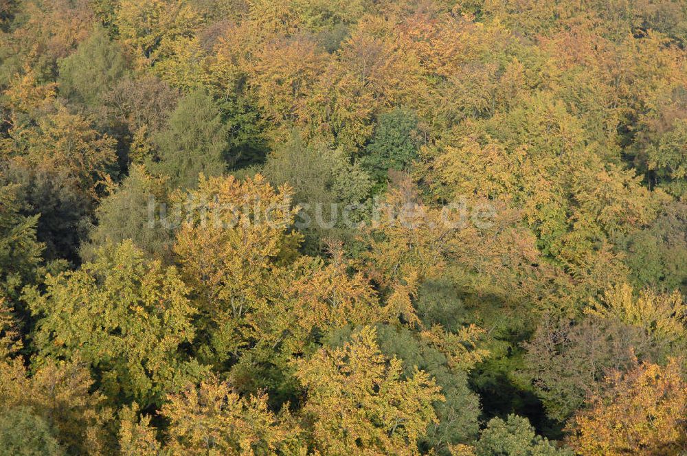 Luftaufnahme Hahausen - Blick auf Bäume im Harz bei Hahausen in Niedersachsen