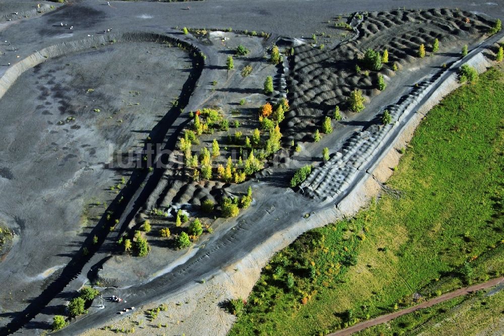 Saarbrücken OT Dudweiler aus der Vogelperspektive: Blick auf die mit Bäumen und Sträuchern bewachsene Abraum- Halde Dudweiler im Ortsteil Jägersfreude in Saarbrücken im Bundesland Saarland