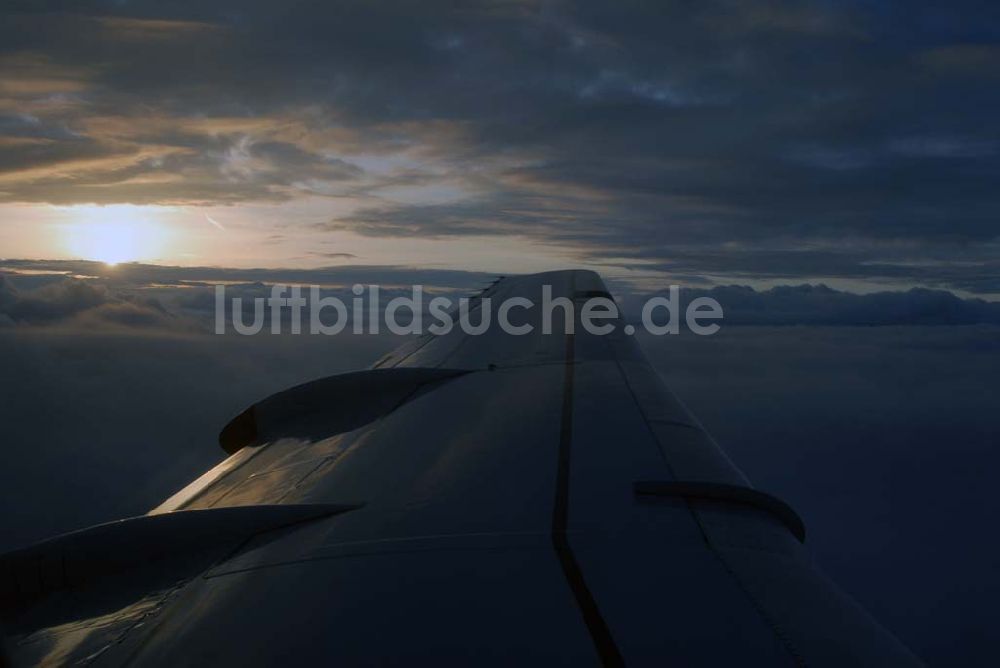 Amsterdam aus der Vogelperspektive: Blick auf Cumuluswolkenschicht über Amsterdam vor dem Landeanflug in einem Airbus A310