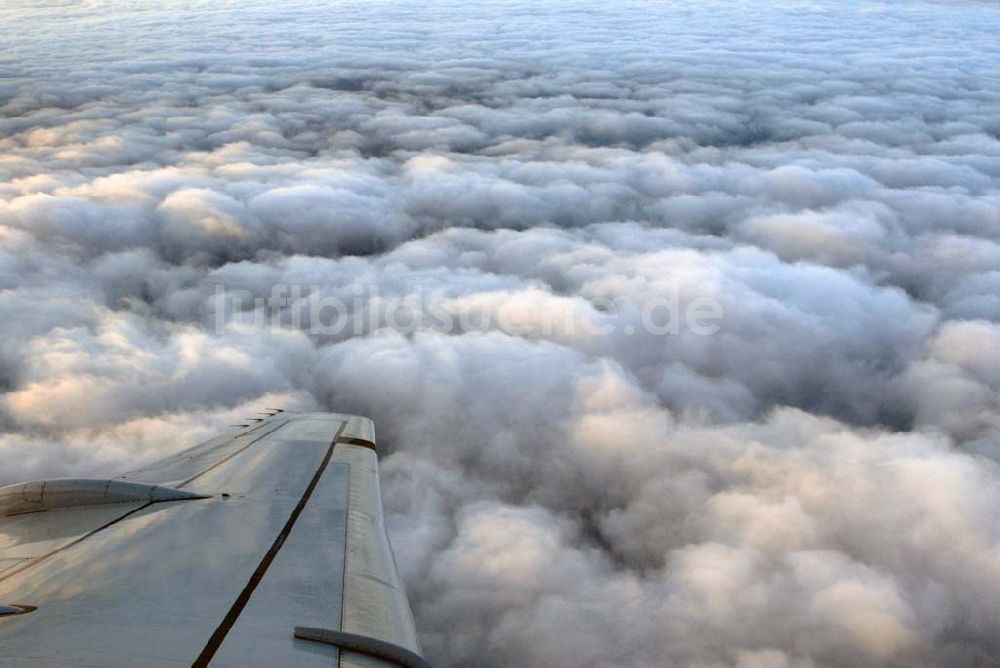 Luftaufnahme Amsterdam - Blick auf Cumuluswolkenschicht über Amsterdam vor dem Landeanflug in einem Airbus A310