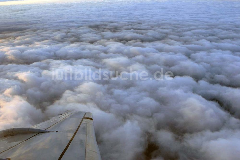 Amsterdam von oben - Blick auf Cumuluswolkenschicht über Amsterdam vor dem Landeanflug in einem Airbus A310