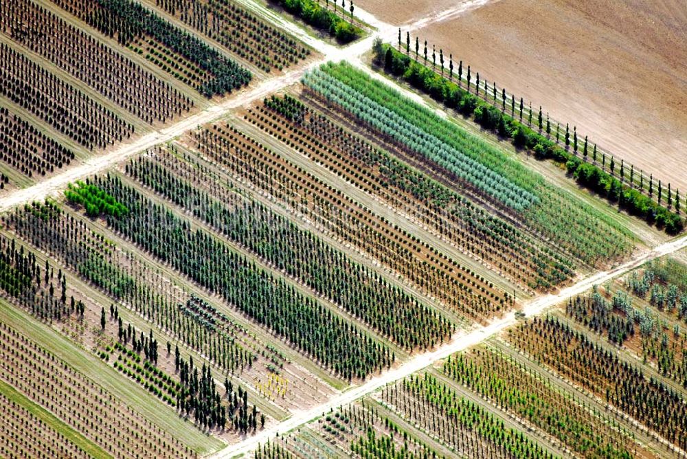 Etzin aus der Vogelperspektive: Blick auf Etzin