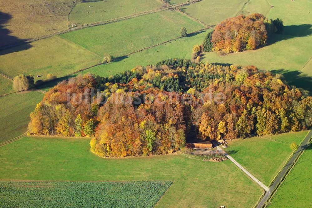 Luftaufnahme Hofbieber - Blick auf Felder und den Wald bei Hofbieber