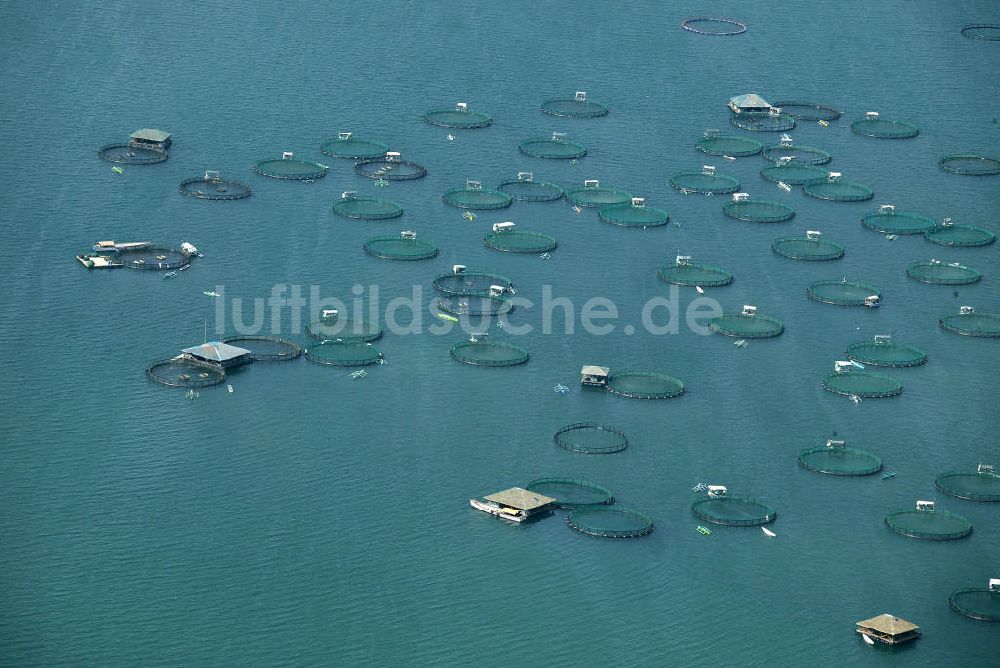 Luftbild Alaminos - Blick auf Fischzüchtungen