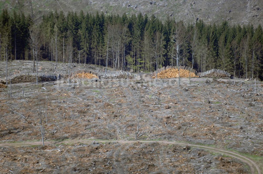 Luftaufnahme Stützerbach - Blick auf ein Forstgebiet des Thüringer Waldes nahe Stützerbach