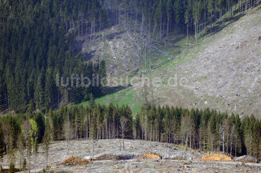 Stützerbach von oben - Blick auf ein Forstgebiet des Thüringer Waldes nahe Stützerbach