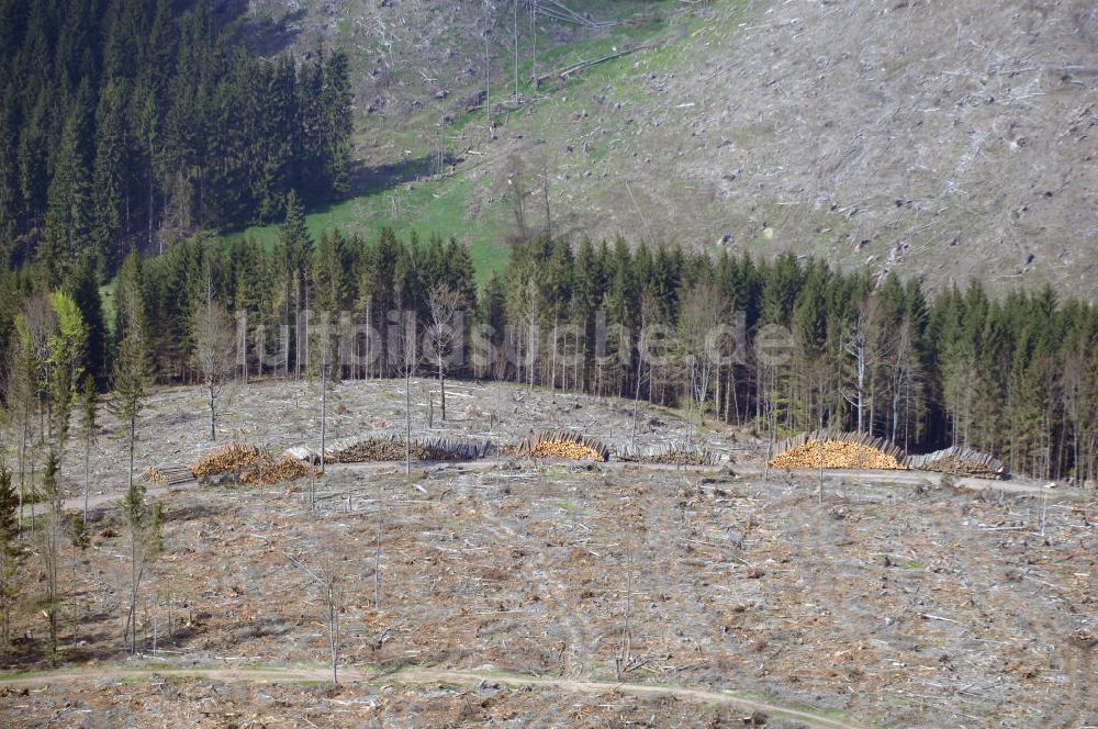 Stützerbach aus der Vogelperspektive: Blick auf ein Forstgebiet des Thüringer Waldes nahe Stützerbach