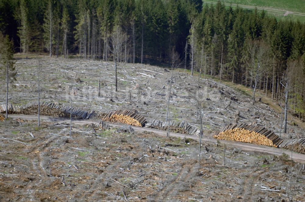 Luftbild Stützerbach - Blick auf ein Forstgebiet des Thüringer Waldes nahe Stützerbach