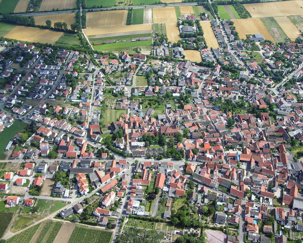 Luftaufnahme Fron Abenheim bei Worms / Rheinland-Pfalz - Blick auf Fron Abenheim bei Worms