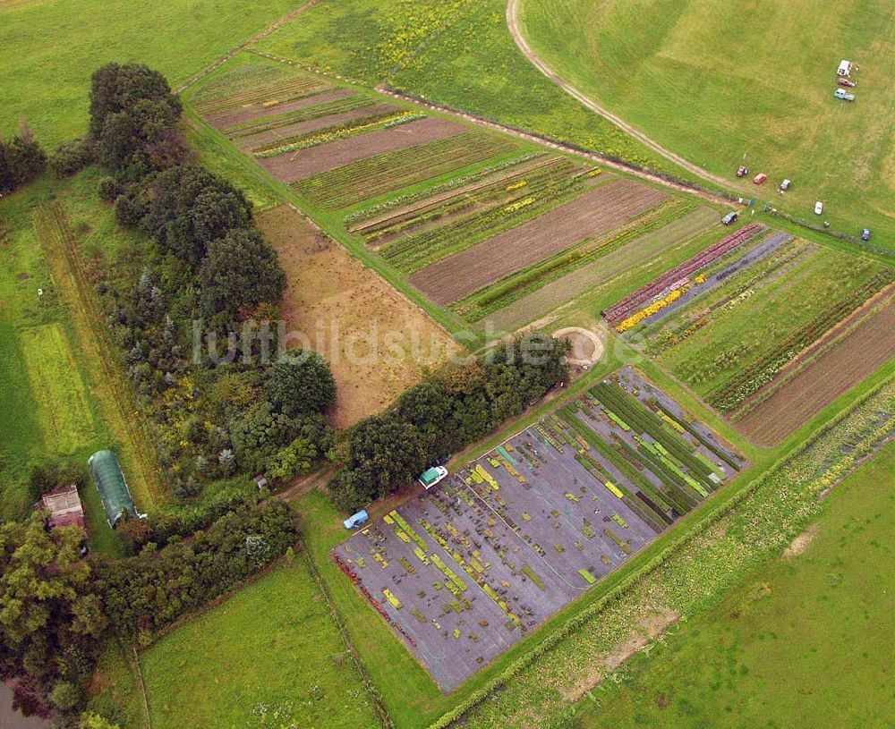 Pirna (Sachsen) von oben - Blick auf den Gartenbaubetrieb am Flugplatz Pirna