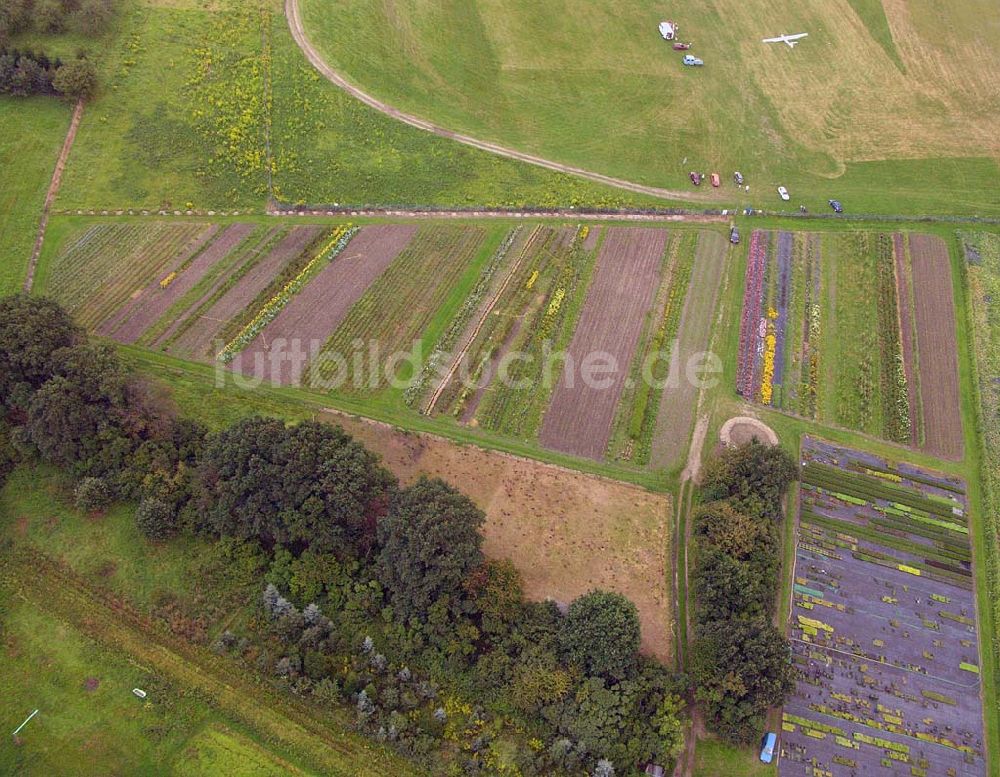 Pirna (Sachsen) aus der Vogelperspektive: Blick auf den Gartenbaubetrieb am Flugplatz Pirna