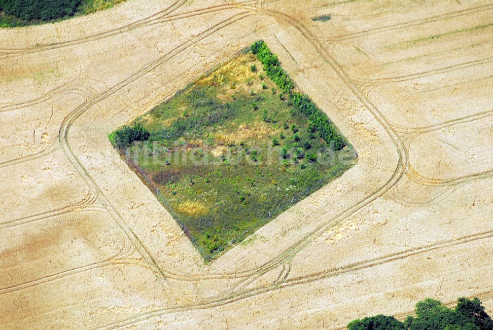 Mönchsheim aus der Vogelperspektive: Blick auf ein Getreidefeld bei Mönchsheim in Brandeburg