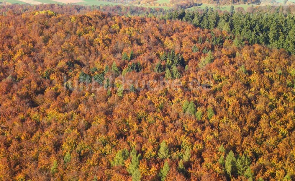 Hofbieber aus der Vogelperspektive: Blick auf Herbstwald bei Hofbieber