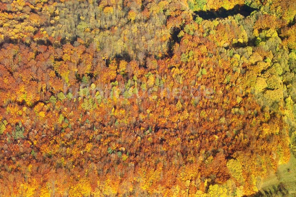 Luftbild Hofbieber - Blick auf Herbstwald bei Hofbieber