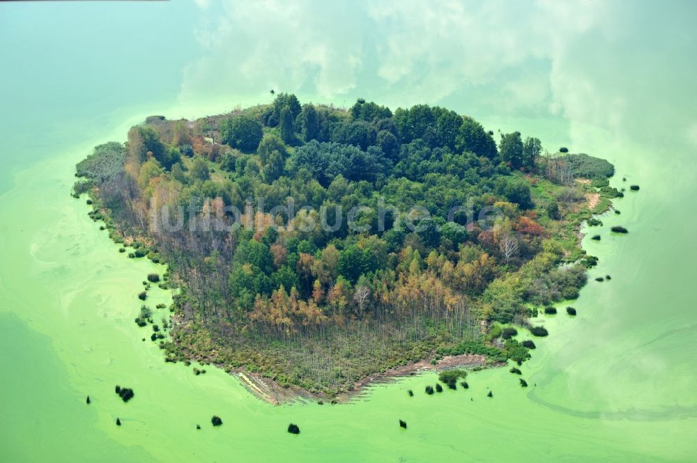 Quitzdorf am See aus der Vogelperspektive: Blick auf herzförmige Insel in der Talsperre Quitzdorf im Bundesland Sachsen