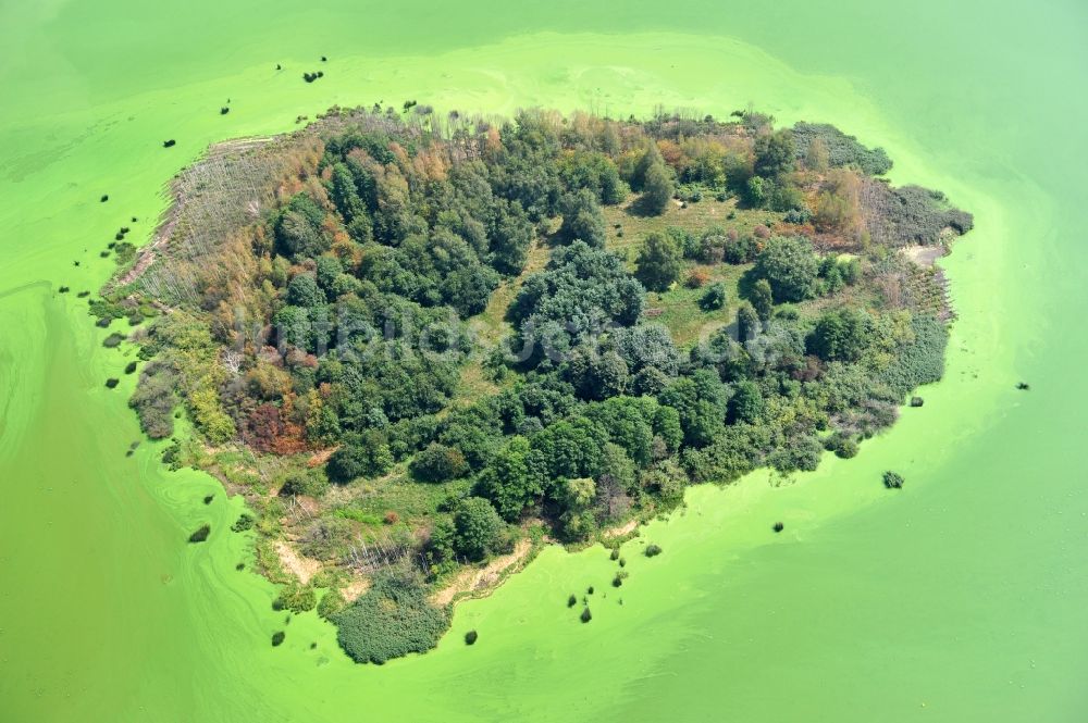 Luftbild Quitzdorf am See - Blick auf herzförmige Insel in der Talsperre Quitzdorf im Bundesland Sachsen