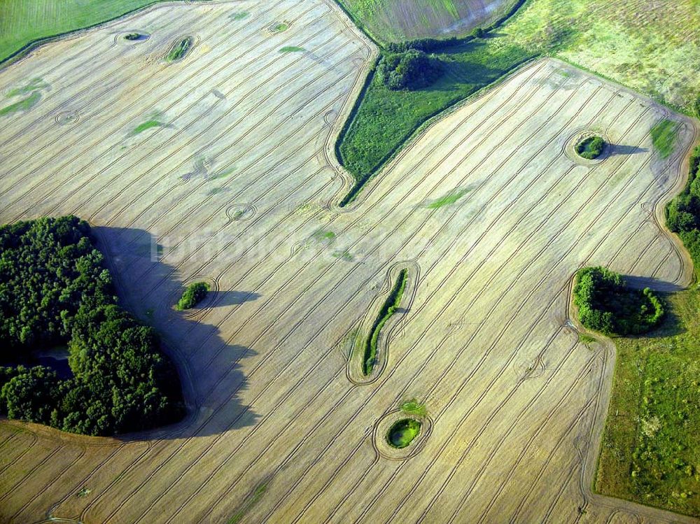 Rostock - Warnemünde von oben - Blick auf eine landwirtschaftliche Nutzfläche bei Warnemünde