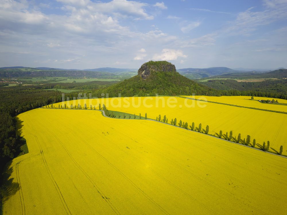 Porschdorf aus der Vogelperspektive: Blick auf den Lilienstein und das Elbtal der Sächsischen Schweiz bei Prossen im Bundesland Sachsen