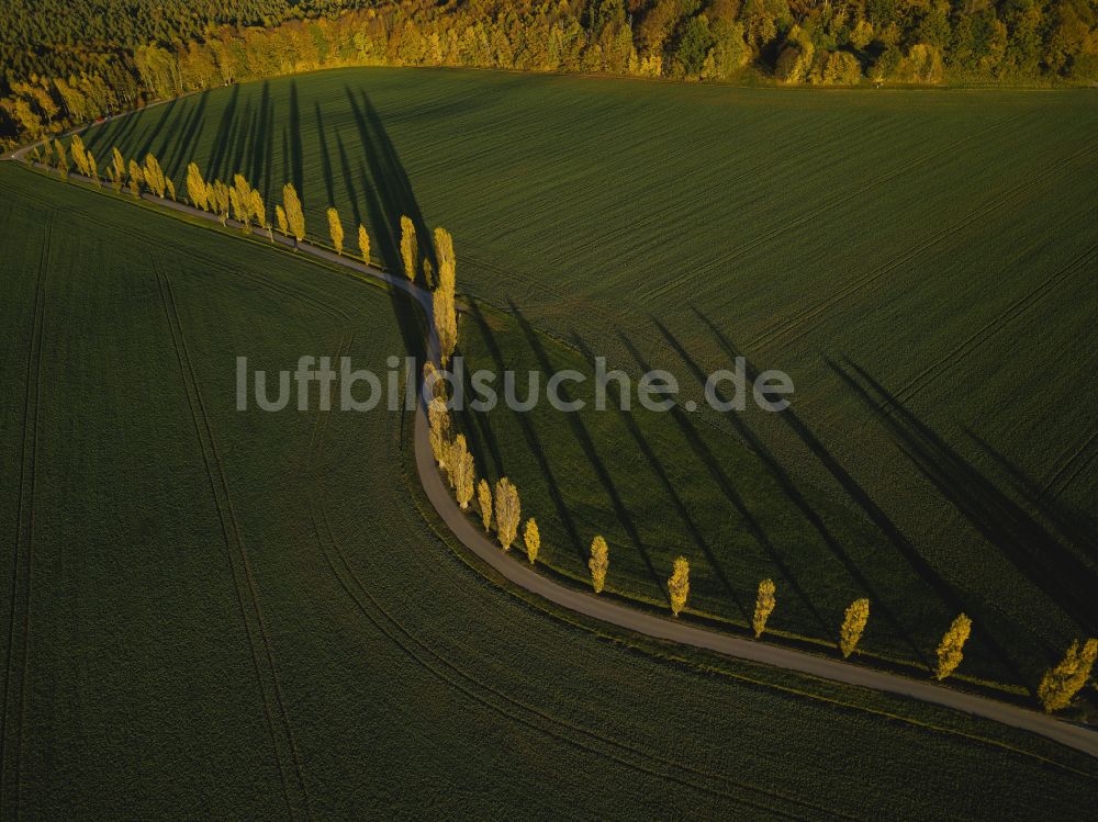 Porschdorf aus der Vogelperspektive: Blick auf den Lilienstein und das Elbtal der Sächsischen Schweiz bei Prossen im Bundesland Sachsen