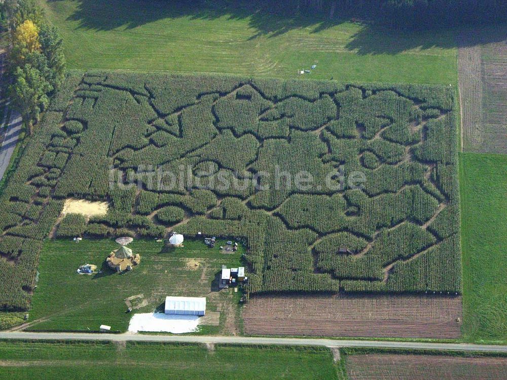 Hahnbach / Bayern von oben - Blick auf den Mais-Irrgarten in Hahnbach