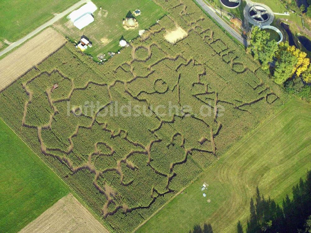 Luftbild Hahnbach / Bayern - Blick auf den Mais-Irrgarten in Hahnbach