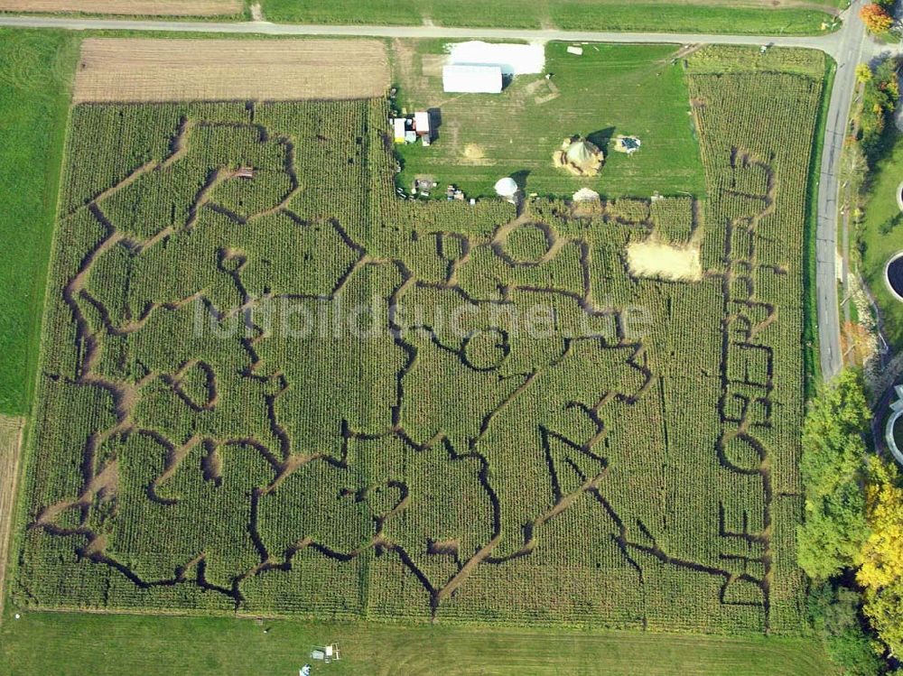 Luftaufnahme Hahnbach / Bayern - Blick auf den Mais-Irrgarten in Hahnbach