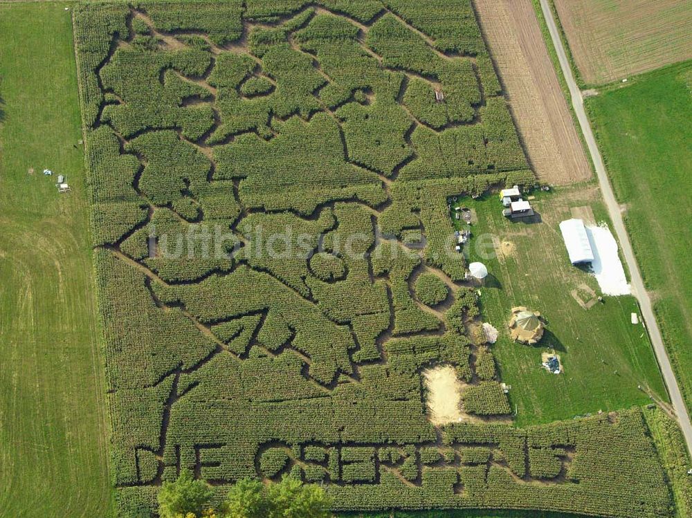 Hahnbach / Bayern von oben - Blick auf den Mais-Irrgarten in Hahnbach