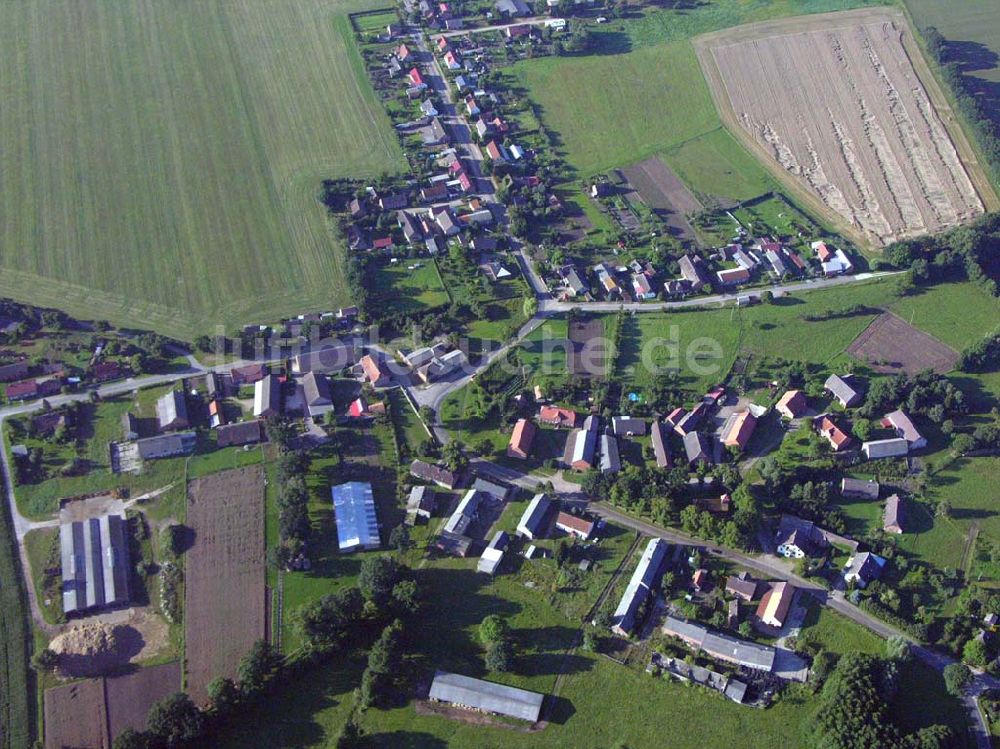 Karrenzin Mecklenburg-Vorpommern aus der Vogelperspektive: Blick auf den Ortskern von Karrenzin in Mecklenburg-Vorpommern