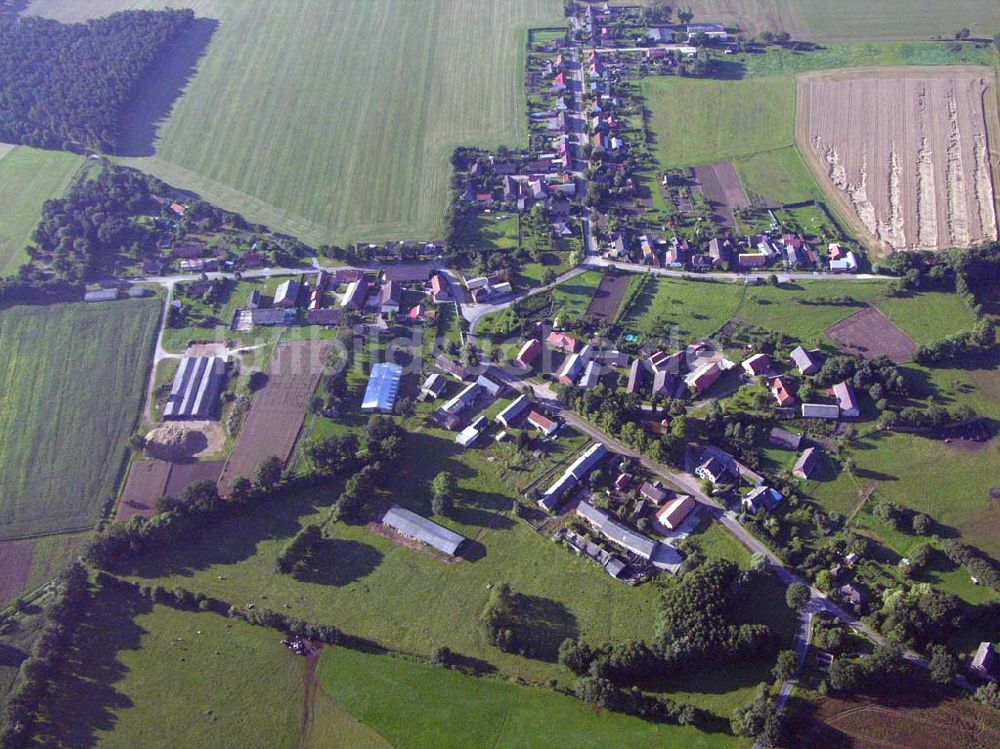 Luftbild Karrenzin Mecklenburg-Vorpommern - Blick auf den Ortskern von Karrenzin in Mecklenburg-Vorpommern