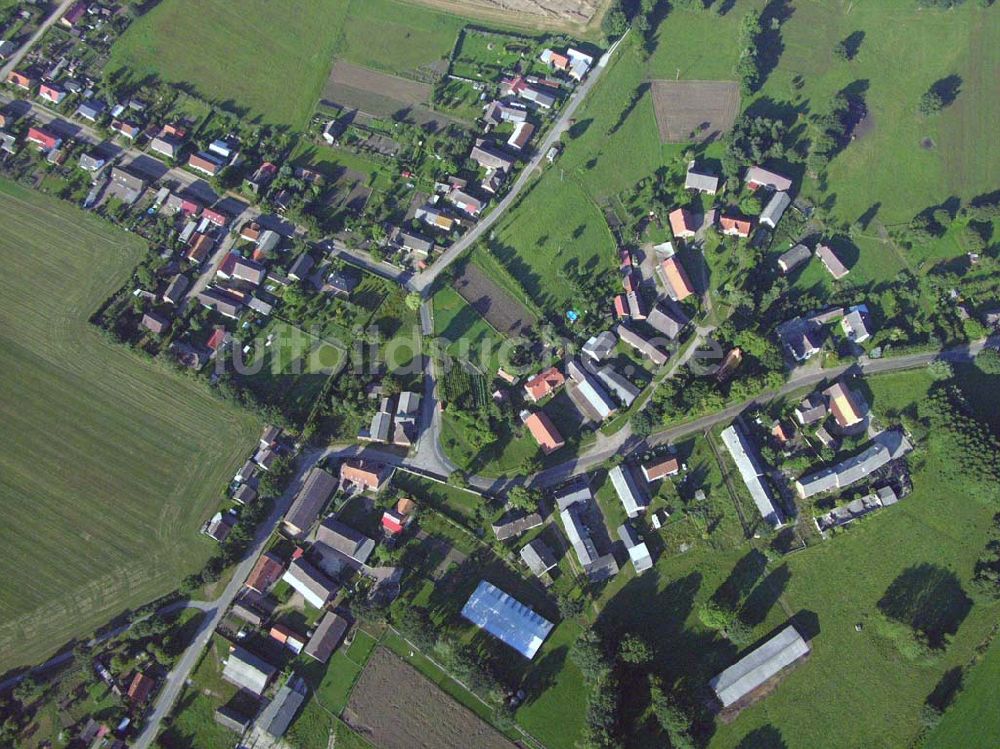 Karrenzin Mecklenburg-Vorpommern aus der Vogelperspektive: Blick auf den Ortskern von Karrenzin in Mecklenburg-Vorpommern