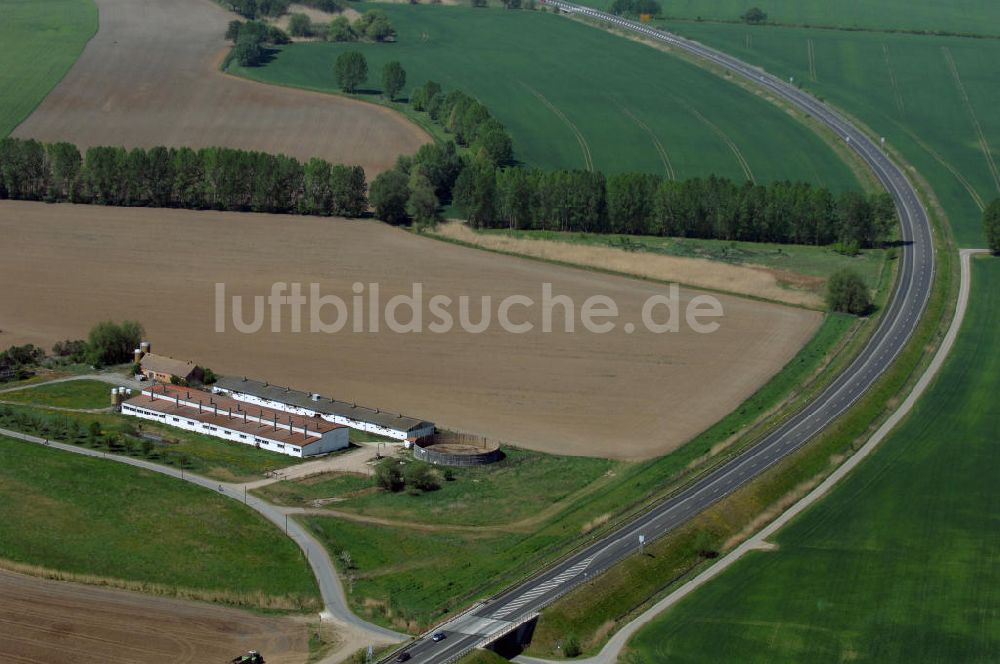 BAD FREIENWALDE aus der Vogelperspektive: Blick auf die Ortsumfahrung der Bundesstrasse B 167 nördlich von Bad Freienwalde