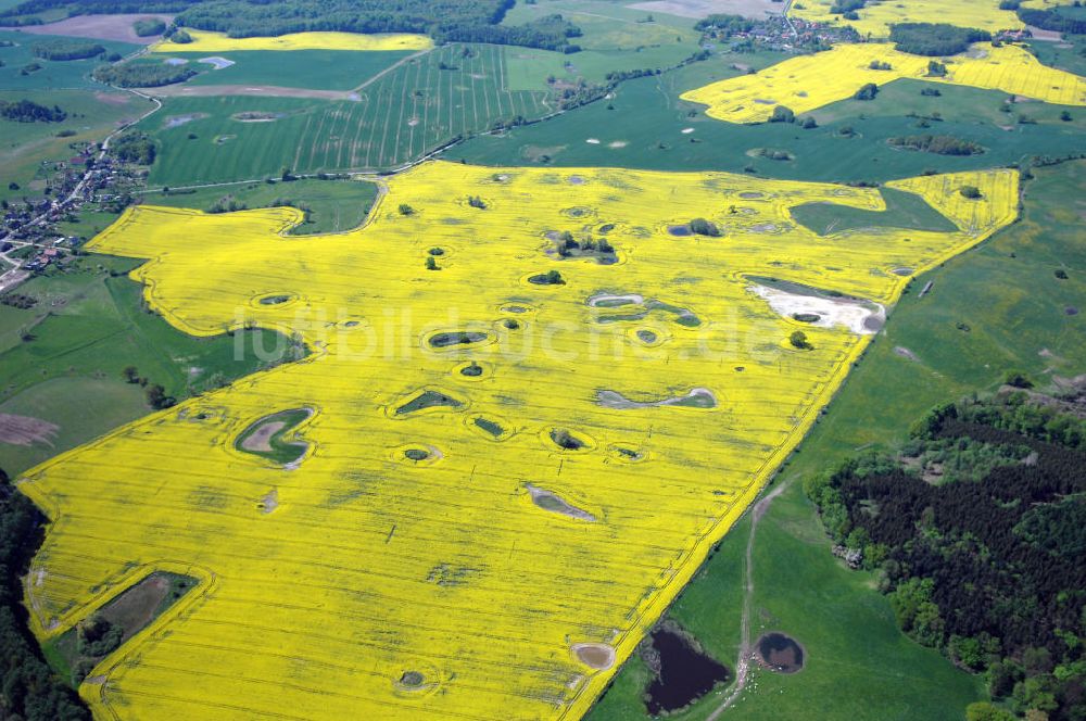 Luftbild Klein Vielen - Blick auf Rapsfeld bei Klein Vielen