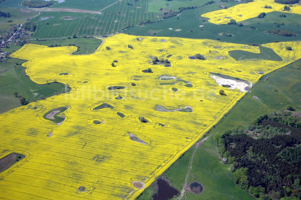 Luftaufnahme Klein Vielen - Blick auf Rapsfeld bei Klein Vielen