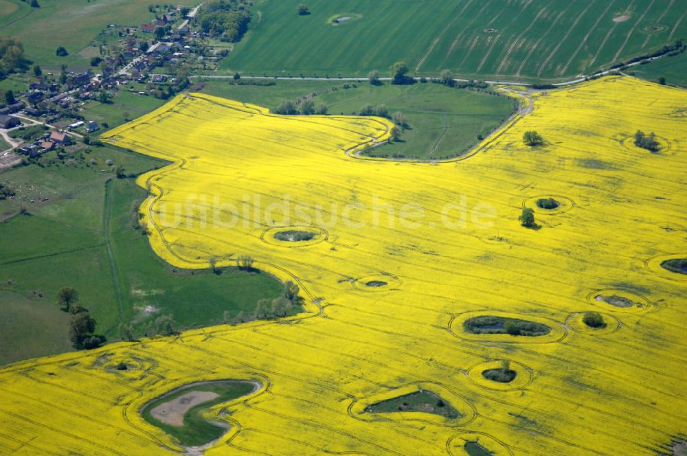 Klein Vielen von oben - Blick auf Rapsfeld bei Klein Vielen