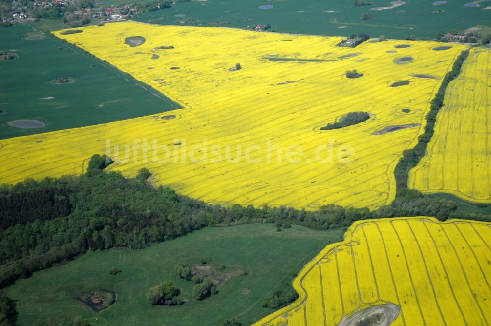 Rumpshagen von oben - Blick auf Rapsfeld bei Rumpshagen