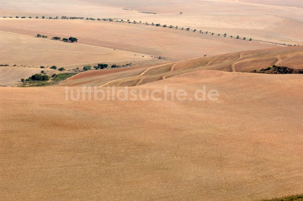 OVERBERG von oben - Blick auf die Region Overberg in Südafrika