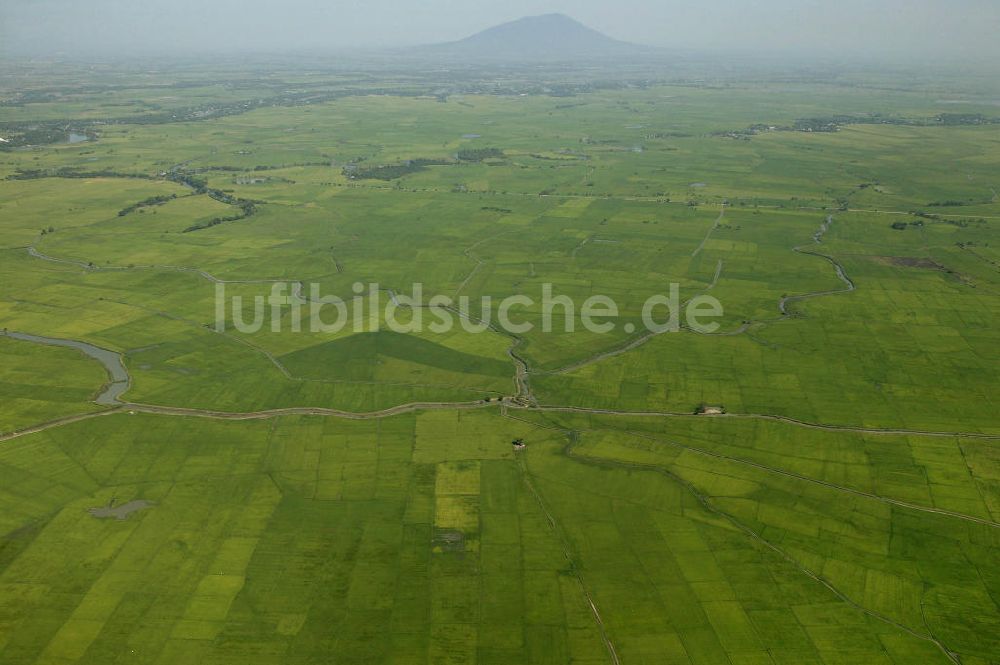 Luftaufnahme Angeles - Blick auf Reisfelder nahe des Mount Arayat