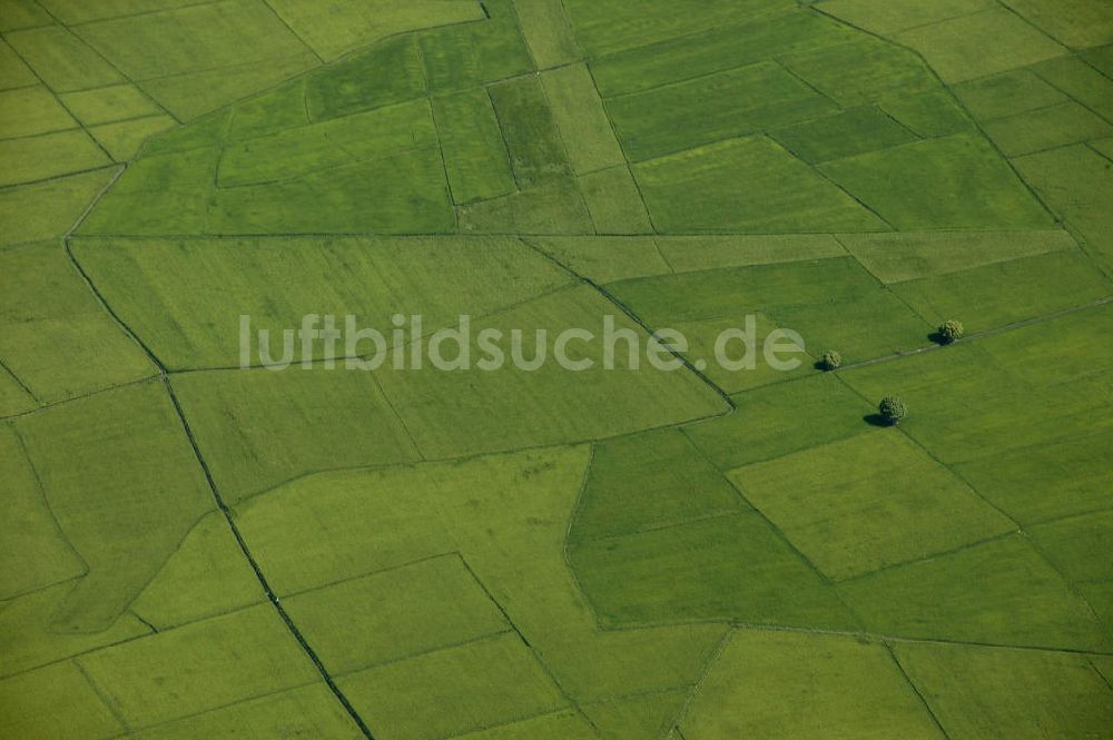 Angeles aus der Vogelperspektive: Blick auf Reisfelder nahe des Mount Arayat