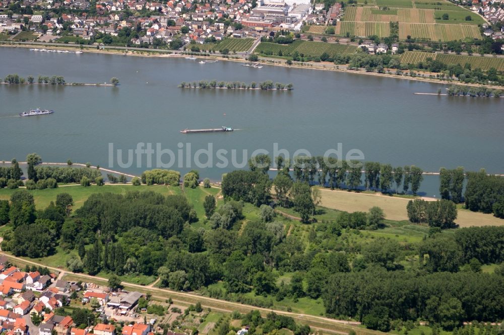 Ingelheim am Rhein aus der Vogelperspektive: Blick auf den Rhein und über die Stadt Ingelheim am Rhein im Bundesland Rheinland-Pfalz