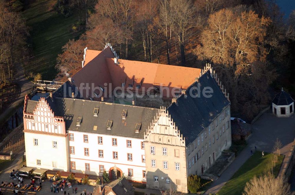 Luftbild Trebsen - Blick auf das Schloss in Trebsen