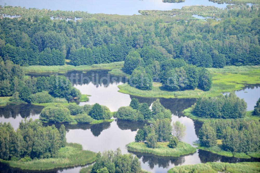 Quolsdorf von oben - Blick auf Seelandschaft im Schemsteich in Quolsdorf im Bundesland Sachsen